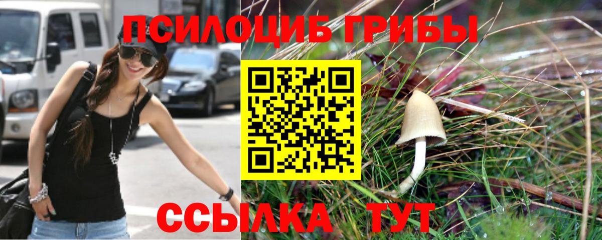 Псилоцибиновые грибы мухоморы Рассказово