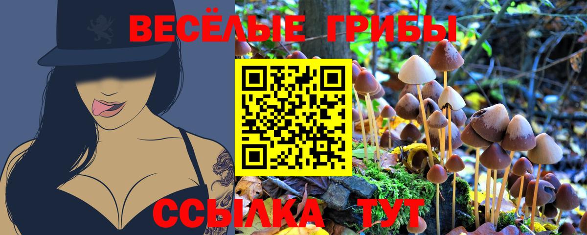Рассказово  Галлюциногенные грибы Magic Shrooms  Вход с VPN 